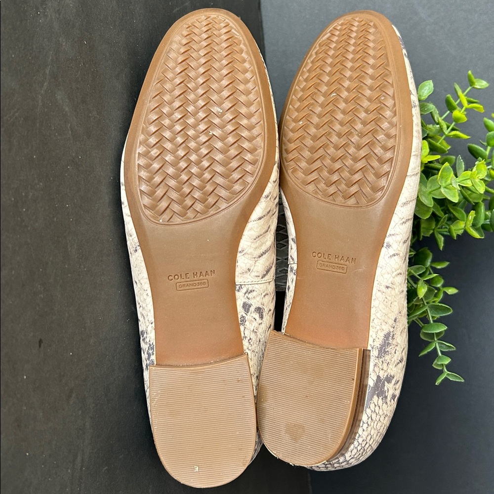 Cole Haan Go-To Pearson Python
Loafer, Women's - Picture 11 of 12